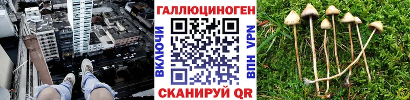 купить наркотики цена нарко площадка какой сайт Галлюциногенные грибы мухоморы Гай